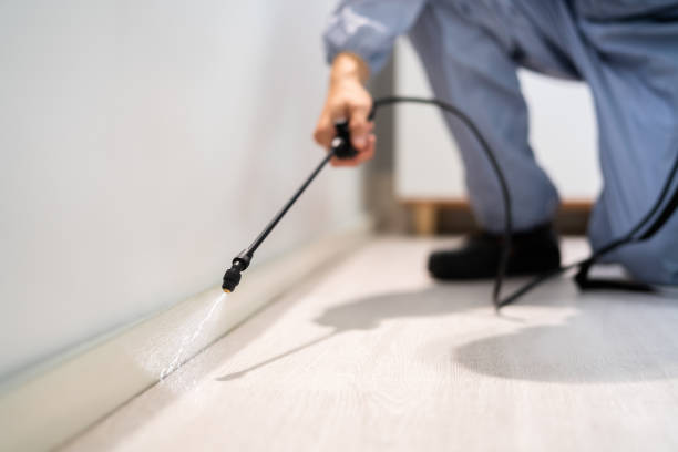 Licensed Pest Control service in Warson Woods, MO - Show Me Pest Control